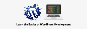 Learn the Basics of  WordPress Development